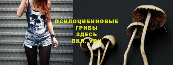 прущие грибы Медвежьегорск