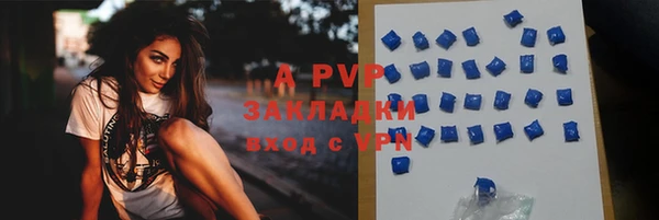эйфоретик Михайловск