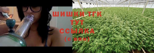 стаф Михайлов