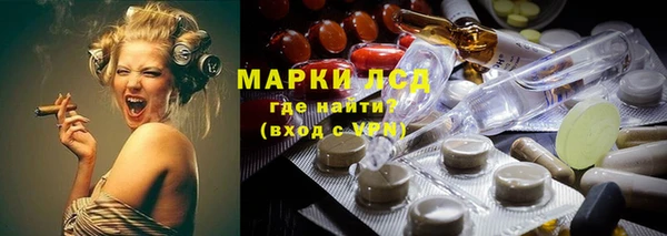 прущие грибы Медвежьегорск
