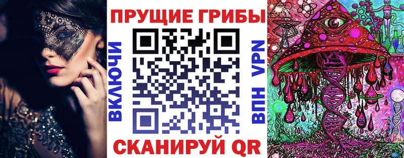 Псилоцибиновые грибы мицелий  blacksprut маркетплейс  Мышкин 
